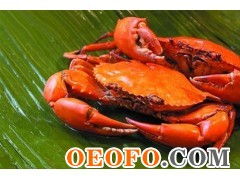 東港市黃海水產品批發(fā)市場利源海鮮批發(fā)商行 供應優(yōu)質鮮活梭子蟹與飛蟹，物美價廉