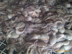 食品與日用品批發(fā)市場的現(xiàn)狀與發(fā)展趨勢