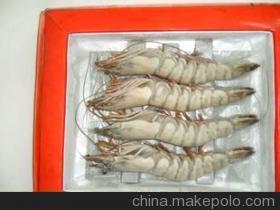 優(yōu)質鮮活龍蝦與水產批發(fā)，廠家直銷保障品質