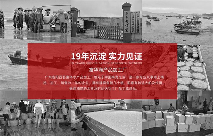 蝦皮工廠直供 高明區(qū)富華海產品加工廠開啟日用百貨銷售新篇章