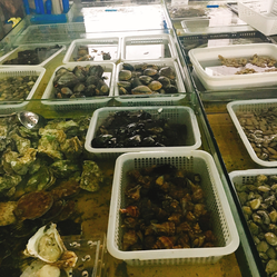 成都農(nóng)產(chǎn)品中心批發(fā)市場(chǎng)海水產(chǎn)交易區(qū)信息指南