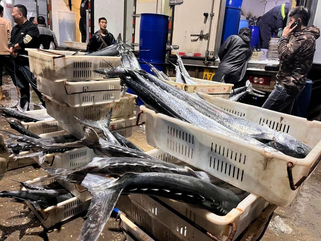 封海前最后一船海鮮抵達(dá)城陽水產(chǎn)批發(fā)市場(chǎng)，鲅魚仍唱主角