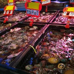 融合與創(chuàng)新 成都農(nóng)產(chǎn)品中心批發(fā)市場(chǎng)海水產(chǎn)交易區(qū)的日用百貨銷售新業(yè)態(tài)