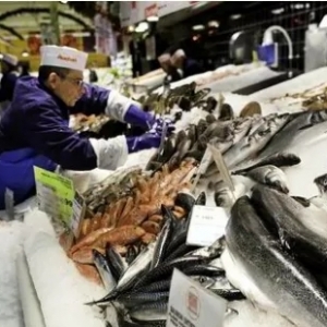 全國(guó)主要水產(chǎn)品批發(fā)市場(chǎng)報(bào)價(jià)動(dòng)態(tài)與日用百貨銷售渠道淺析