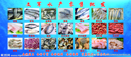 水產(chǎn)品批發(fā) 連接海洋與餐桌的關鍵紐帶